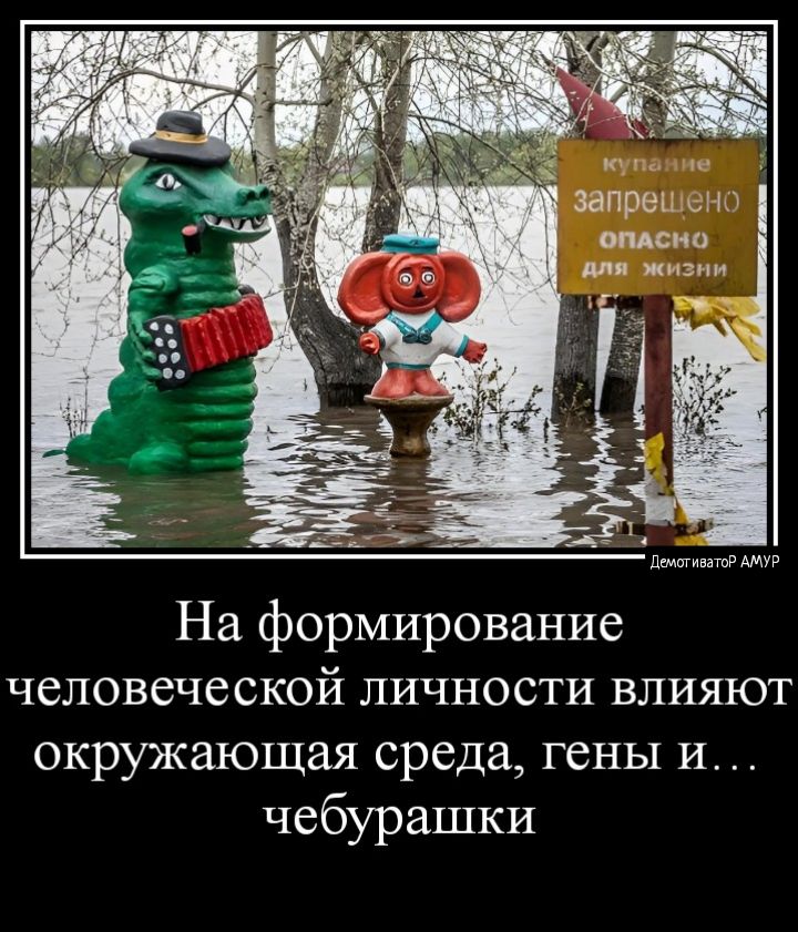 На формирование человеческой личности влияют окружающая среда гены и чебурашки