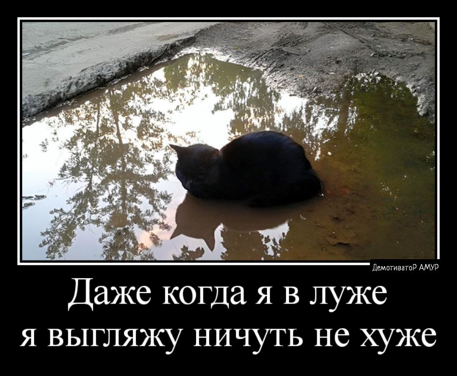 я 3 _ к _ Даже когда я в луже я выгляжу ничуть не хуже