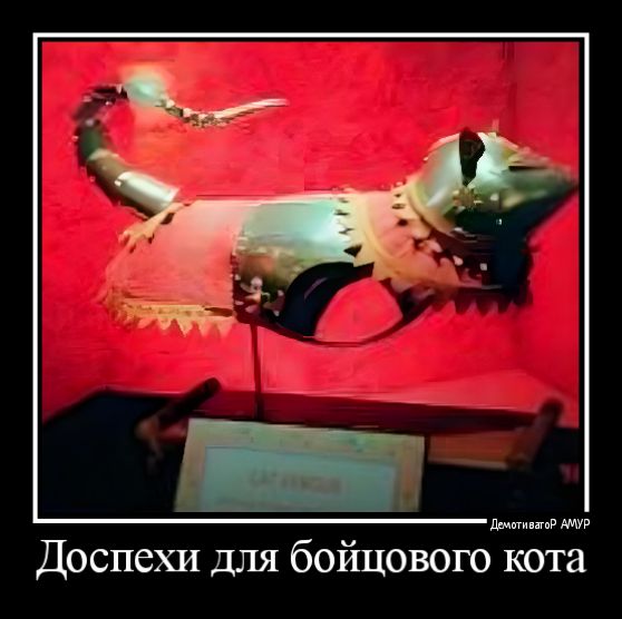 и Доспехи для бойцового когга
