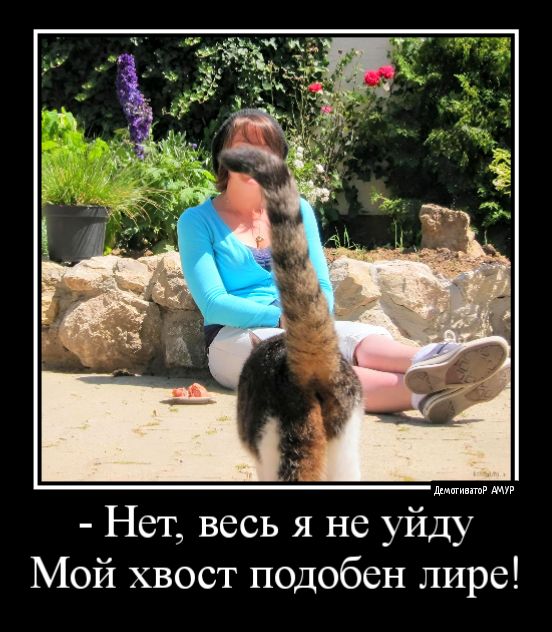 Нет весь я не уйду Мой хвост подобен лире