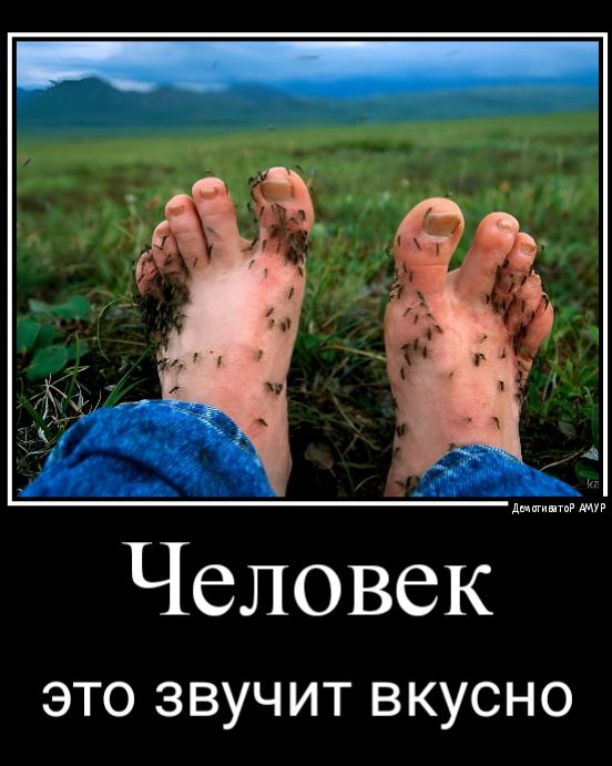 Человек ЭТО ЗВУЧИТ ВКУСНО