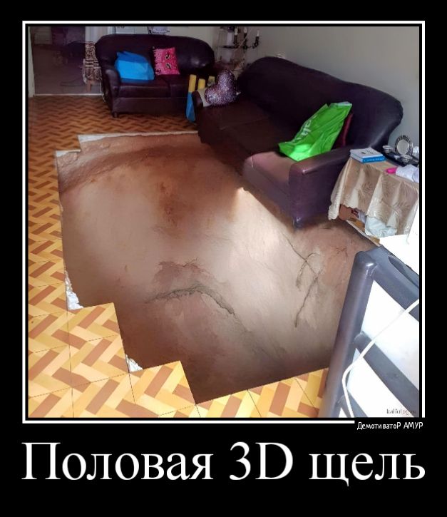 Половая 31 щель