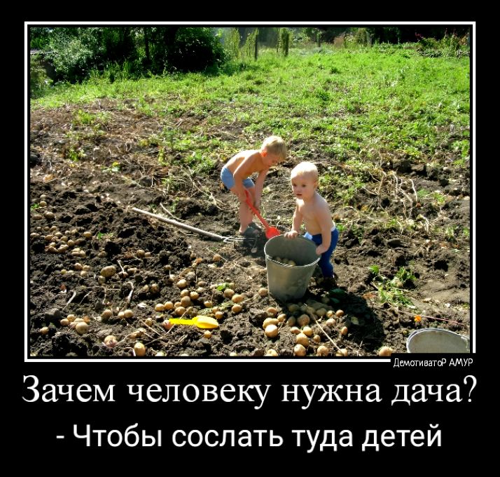 Зачем человеку нужна дача Чтобы сослать туда детей