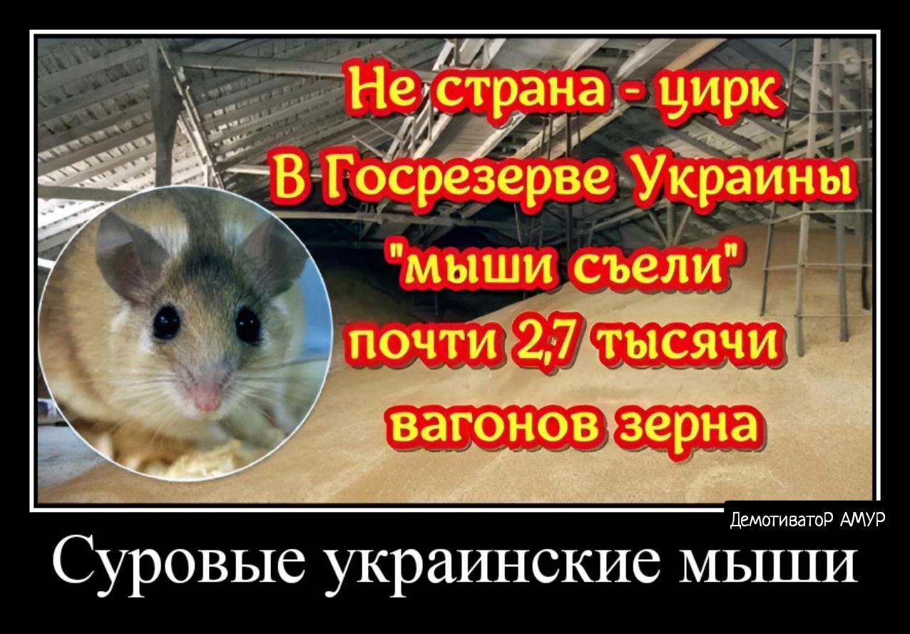 е нтт цирк В Госрезерве Украины Амур Суровые украинские мыши