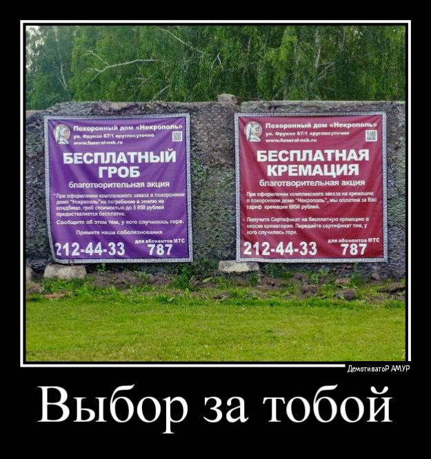 Выбор за тобой
