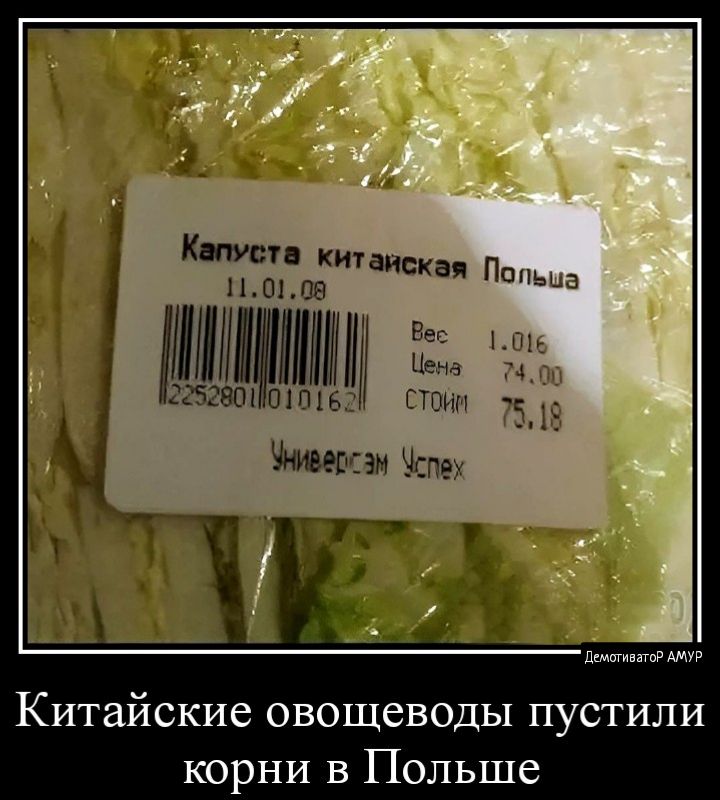 Капуе хитаиска ш ое Вес 1 Цна 22528 Ш 015 Пт _ Попьыд мщи Китайские овощеводы пу корни в Польше