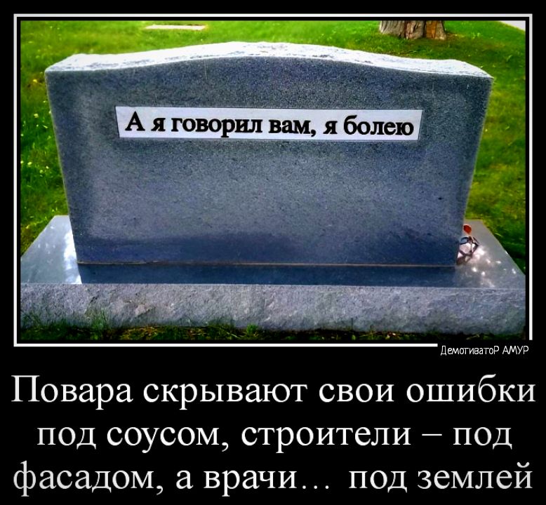 шпинат шп Повара скрывают свои ошибки под соусом строители под фасадом врачис под землей