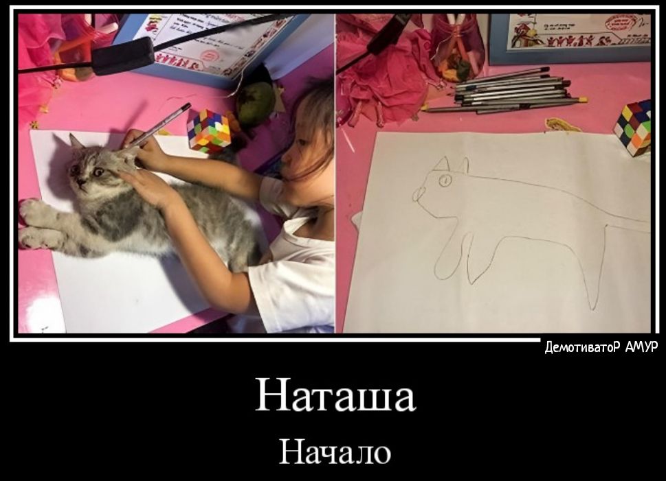 Наташа Начало