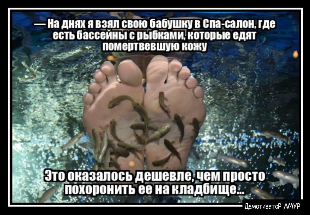мш
