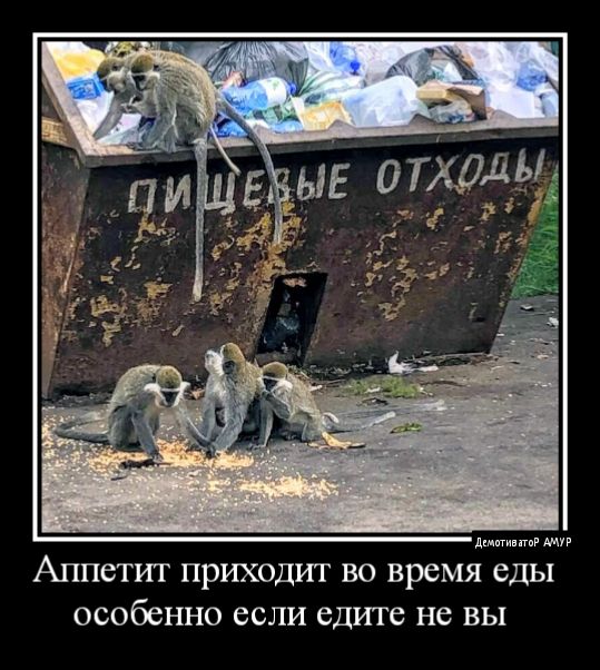 Аппетит приходит во время ды особенно если едите не вы