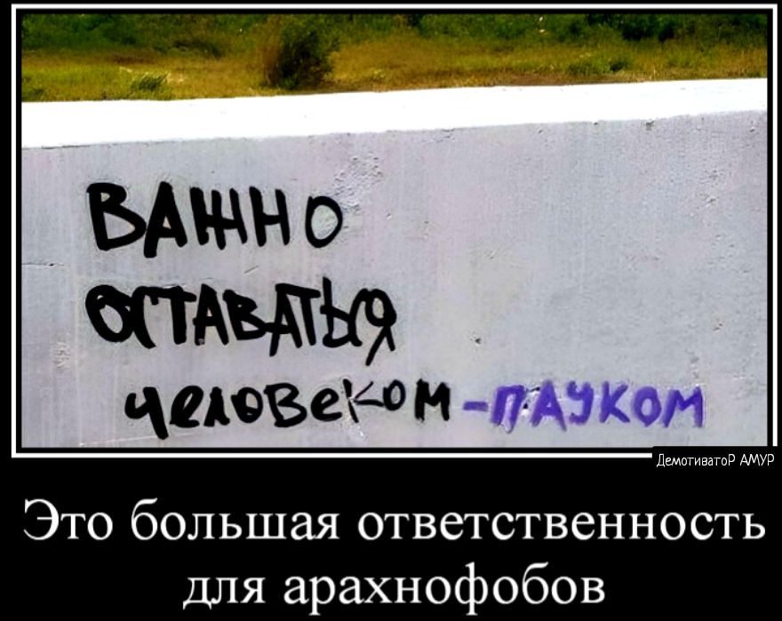 БАШ о _ приведи чипом Это большая ответственность для арахнофобов