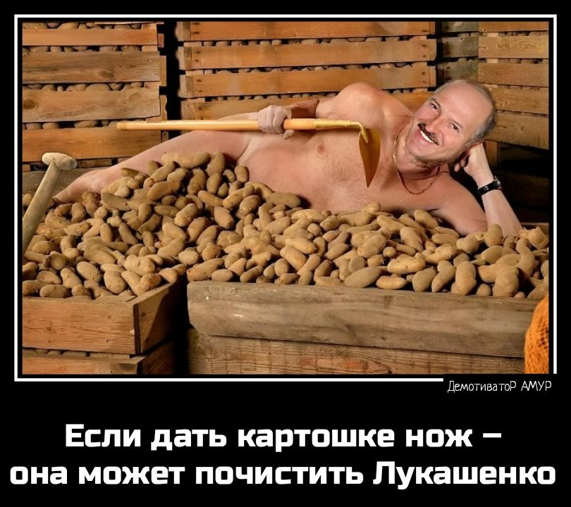 Если дать картошке нож она может пвчистить Лукашенко