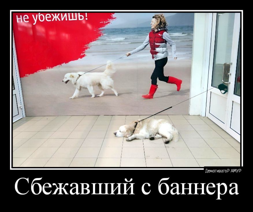 Сбежавший с баннера