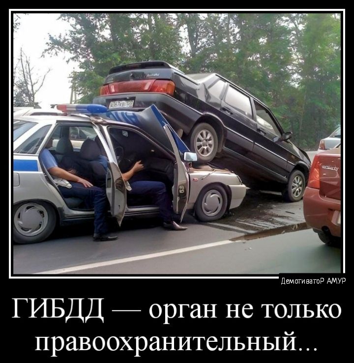 дмптитд ГИБДД _ орган не только правоохранительный