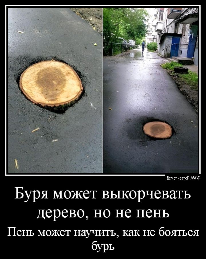 л мт Буря может выкорчевать дерево но не ПСНЬ Пень может научить как не бояться бурь
