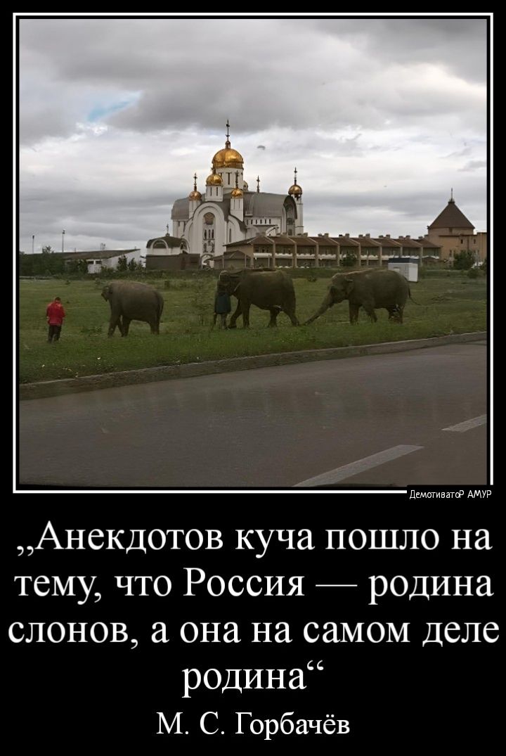 Анекдотов куча пошло на тему что Россия родина слонов а она на самом деле родина М С Горбачёв