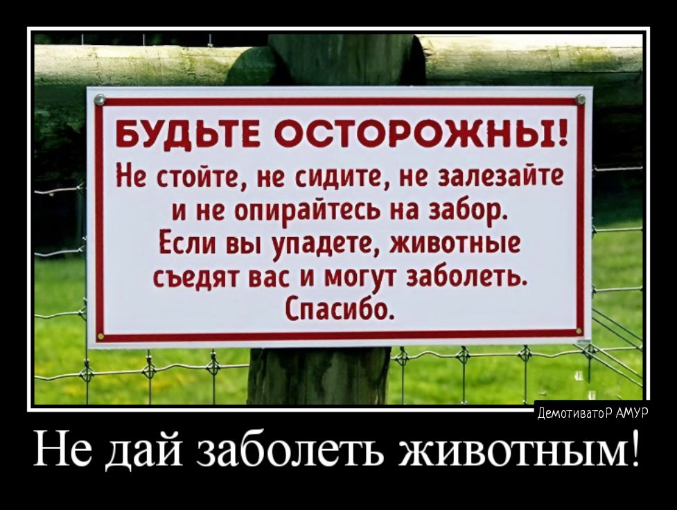 БУДЬТЕ ОСТОРОЖНЬП Не стоИтв не сидите не запеэайте и не опирайтесь на забор Если вы упадете животные съедят вас и могут заболеть 7 Спасибо Не дай заболеть животным