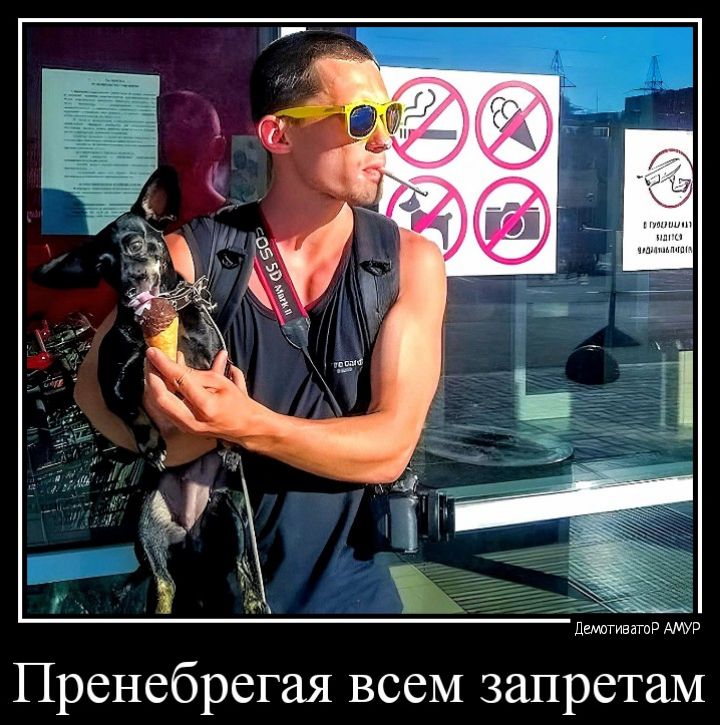 Тренебрегая всем запретим