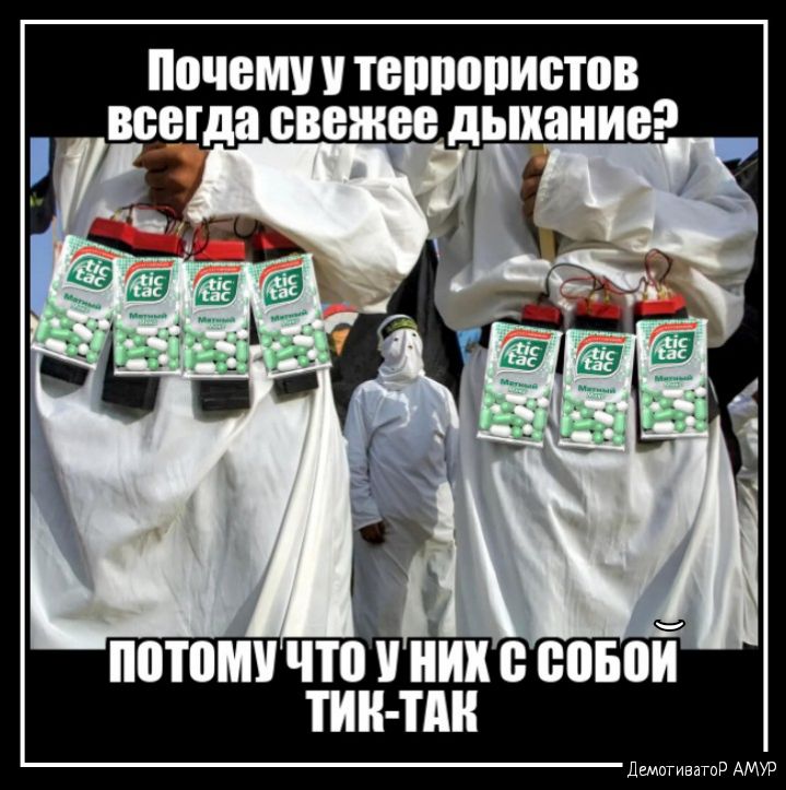 Пичет ТВШПИБЮВ МЕГАН БВБ дЬШШИЕ