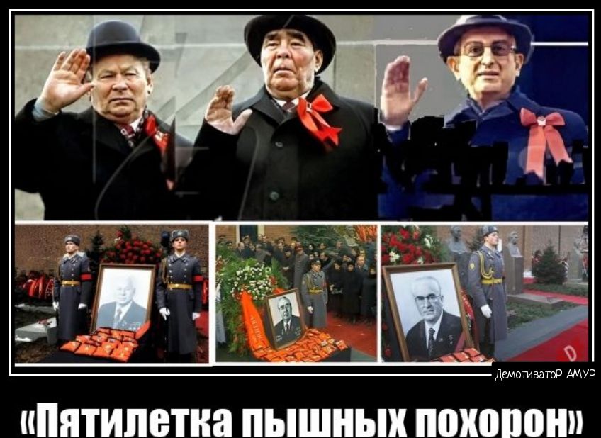 пнятипетиа пышных ППШ