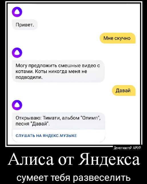 Мне скучно могу предложит смешъ ые видео с котами Коты икогда меня не подводили Открываю Тима альбом Опимп песня давай спушмь милые музы м Алиса от Яндекса сумеет тебя развеселить