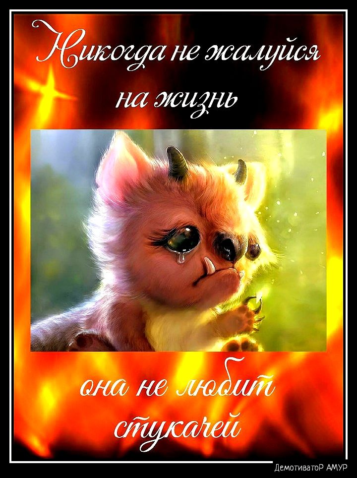 ЖИЛОЙЛ не штуйдя НЛ майнд шале шй тушагей Деизтватпэ дми