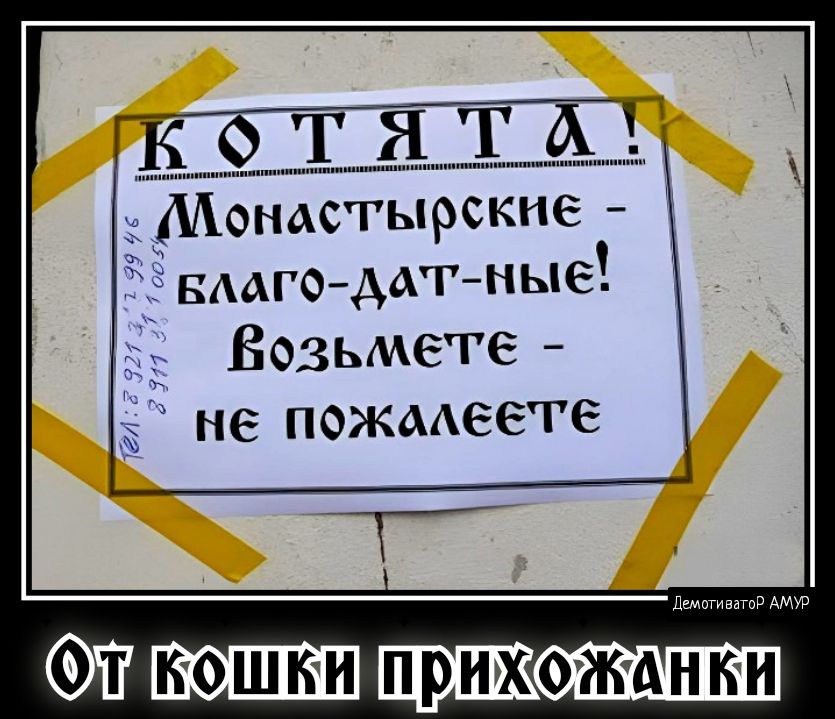 Адонасгьцъск Ё вмгодшгные Возьмете не пожмееге і Фэн
