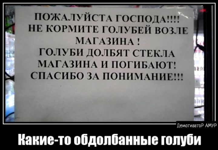 НЕ корчпгн ЪБЕП вопг мг шп ГОЛУБН 1101 вт 1 нкп 1 гшн п ногпьхыотт СПАСИБО ПОНИМАНИЕ лв ш Какие то пидоппаииые ЮМИ