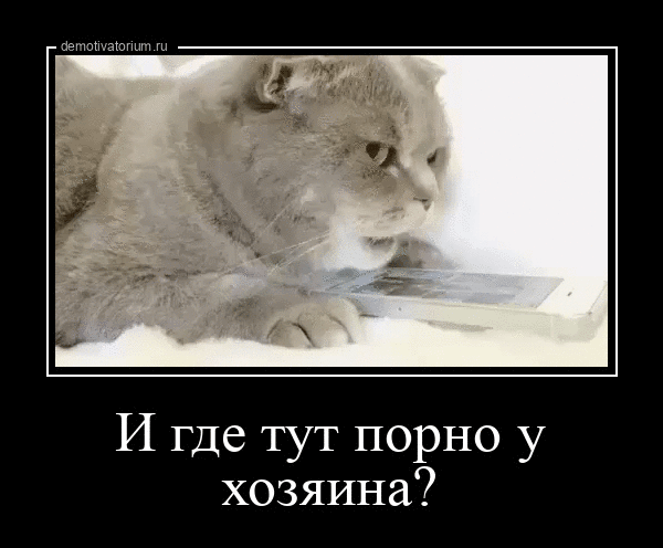 И где тут порно у хозяина