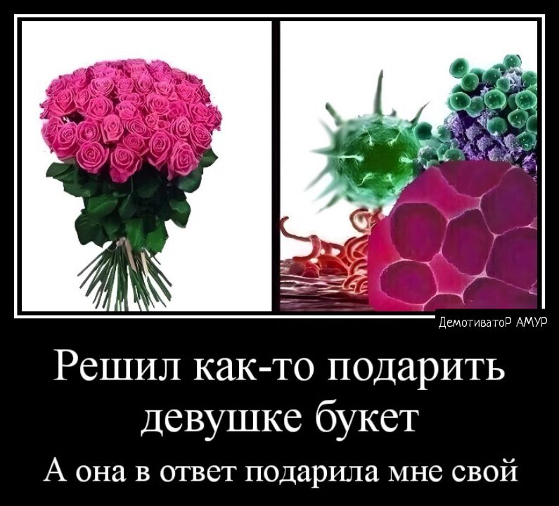 Решил как то подарить девушке букет А она в ответ подарила мнс свой