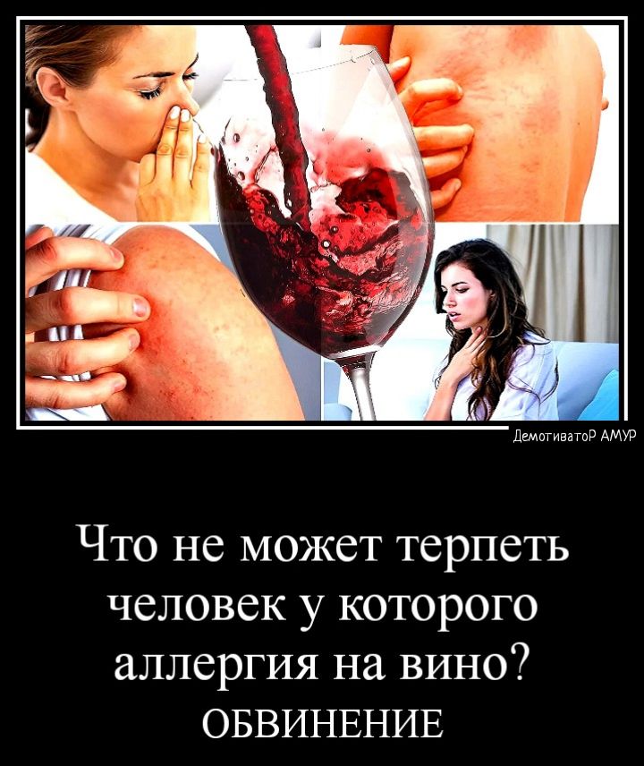 пм мм Что не может терпеть человек у которого аллергия на вино ОБВИНЕНИЕ