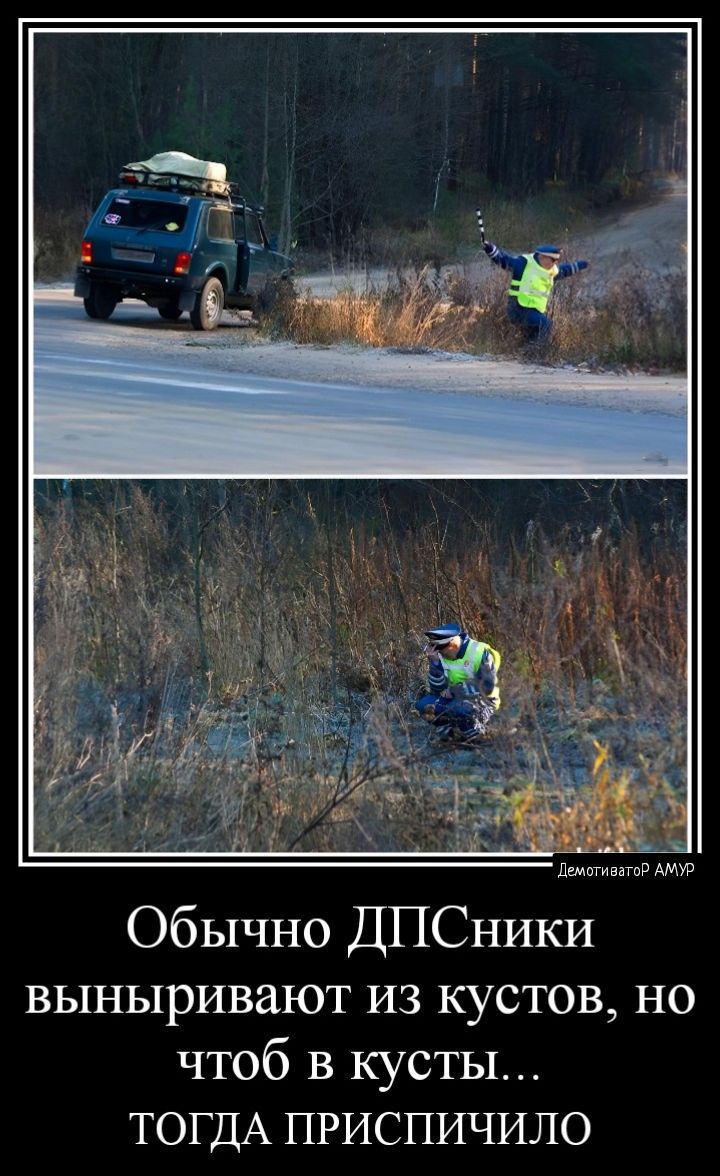 Обычно ДПСники выныривают из кустов но чтоб в кусты ТОГДА приспичило