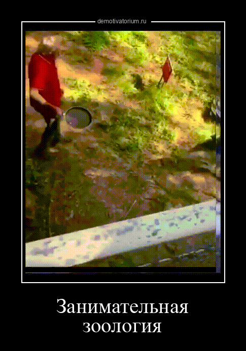 Занимательная ЗООЛОГИЯ