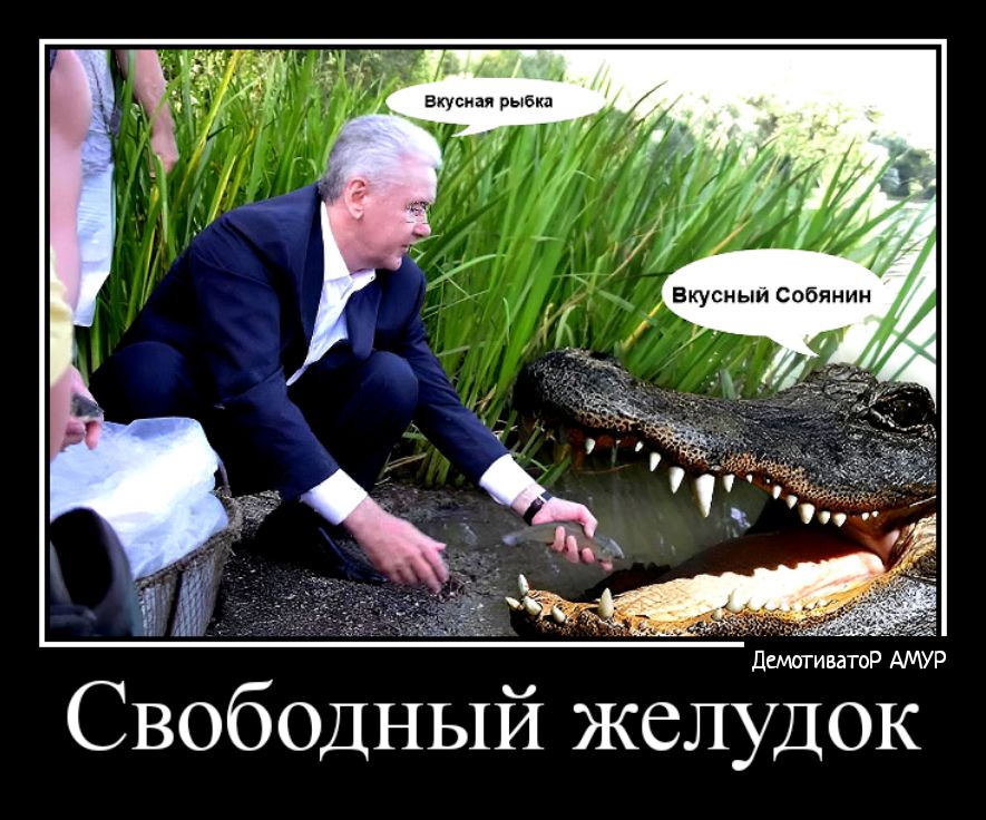 Свободный желудмок