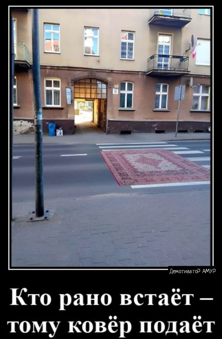 питты Кто рано встаёт тому ковёр подаёт