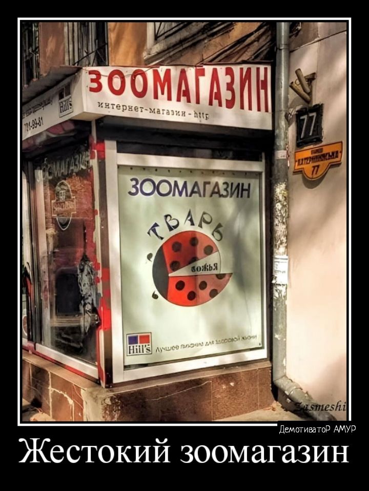 Жестокий зоомаг ин