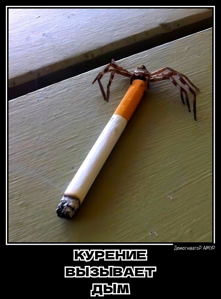ьт лм