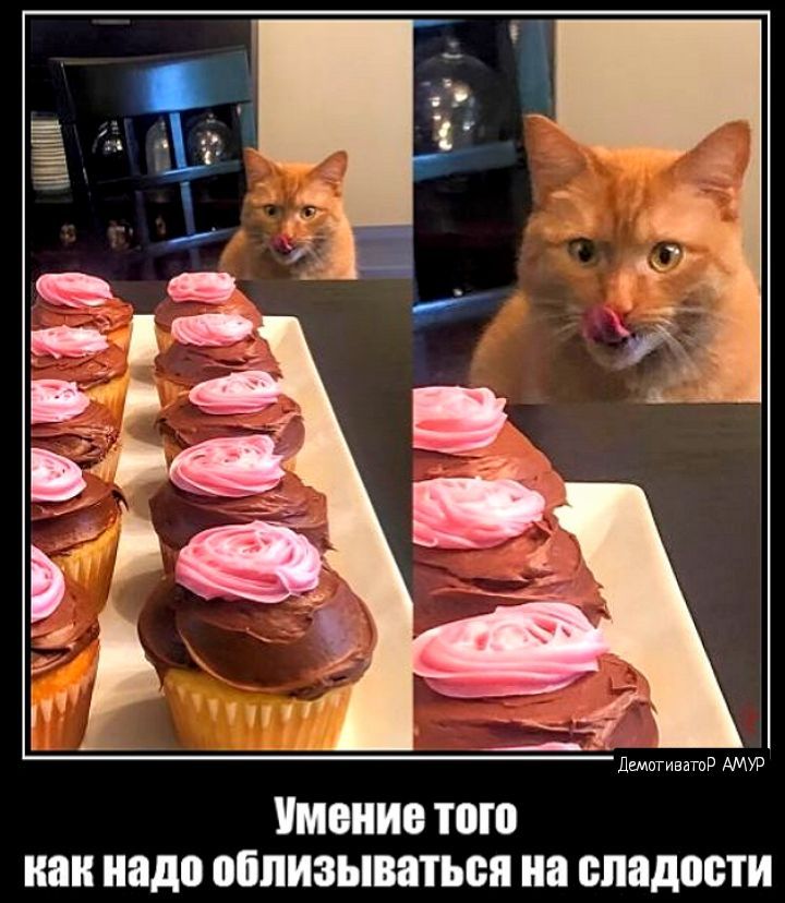 МВ ТОП И ПДП ВЁПИЗЫБПЪБП МЕДОМ