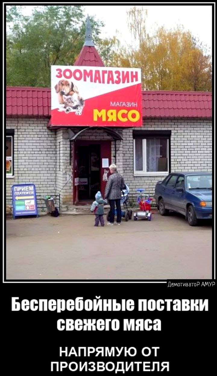 БВБПВПБЁОЙНЬЮ поставки свежего мяса НАП РЯМУЮ ОТ ПРОИЗВОДИТЕЛЯ