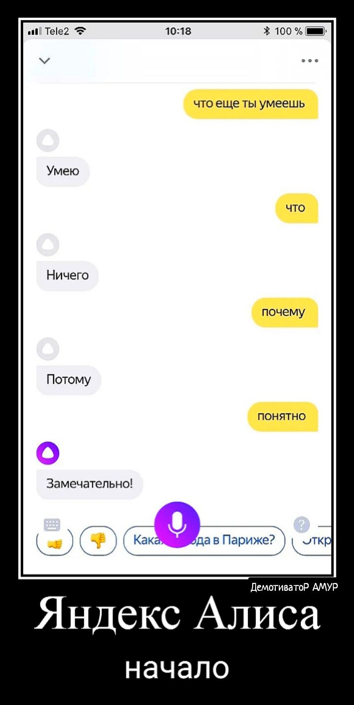 Тее2 то 7 _ ч Ч еще ты умеешь почему понята Зимсчдшпы Ю дентарижы лк дкмитватР АМУР Яндекс Алиса НЭЧЭЛО