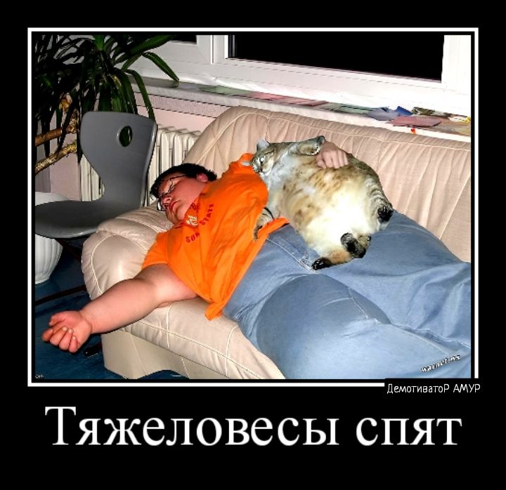 и ими ТЯЖСЛОВССЫ СПЯТ