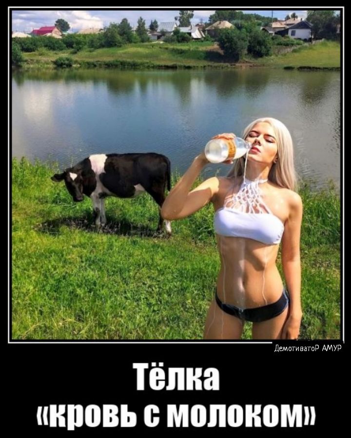ТЁШШ ВНОВЬ МОЛШЮМП