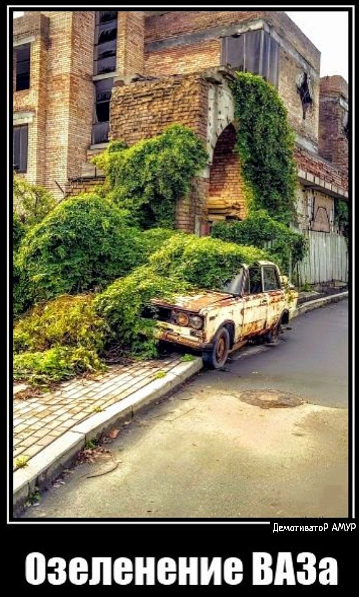 даш шоп АМУР