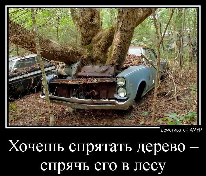 Хочешь спрятать дерево спрячь его в лесу