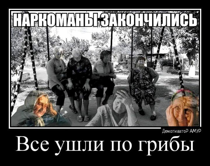 Все ушли по грибы