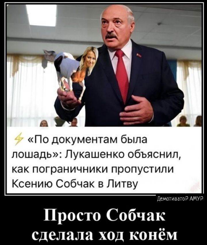 По документам была лошадь Лукашенко объяснил как пограничники пропустили Ксению Собчак в Литву Просто Собчак сделала ход конём