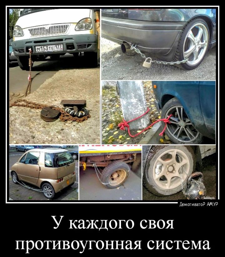 У каждого своя противоугонная система