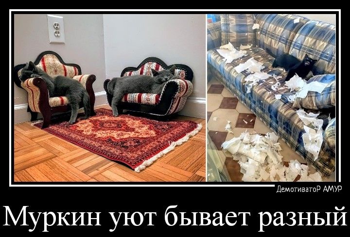 пшэгипгай Амур Муркин уют бывает разный