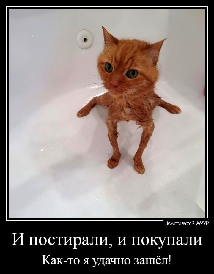 химию И постирали и покупали Как то я удачно зашёл