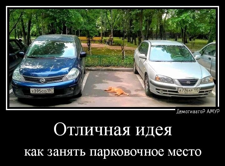 Отличная Идея как занять парковочное МССТО